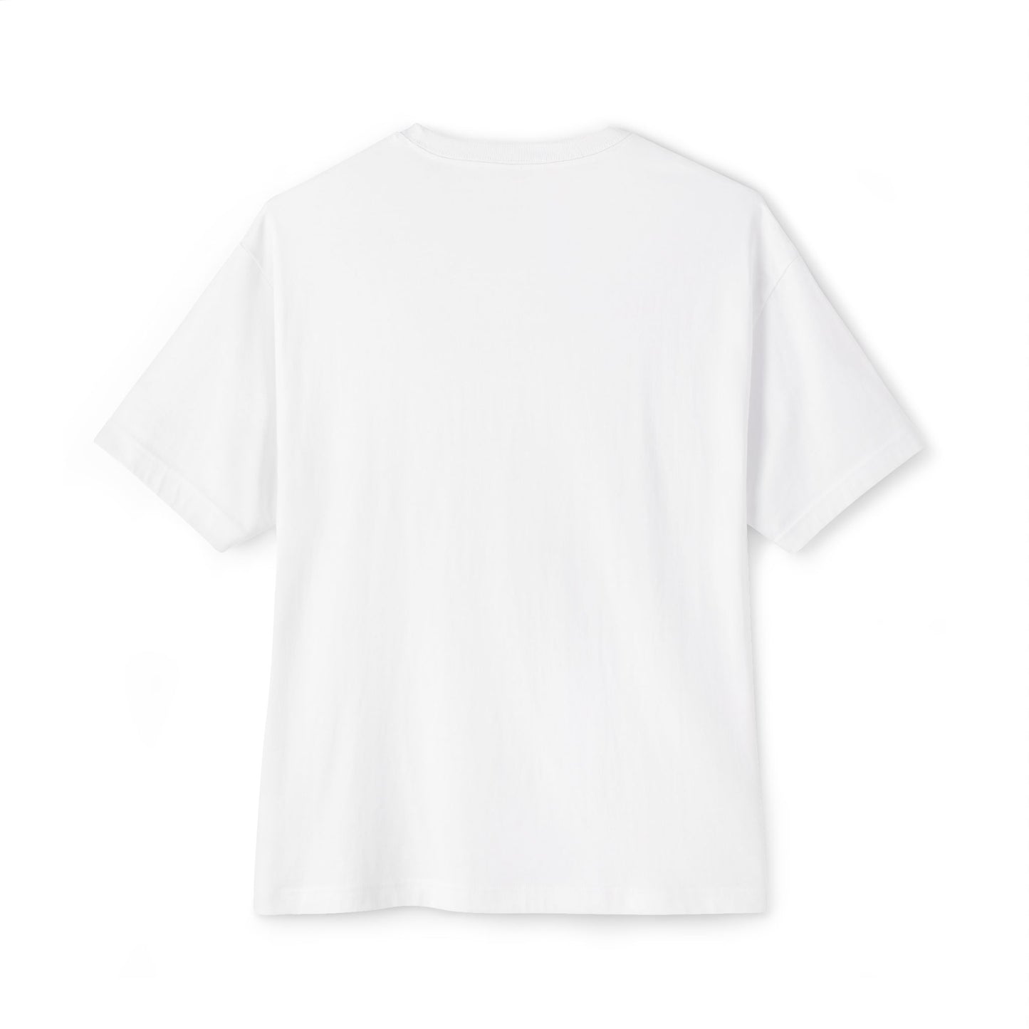 Hidden Mountain Co. Unisex Oversized Boxy Tee